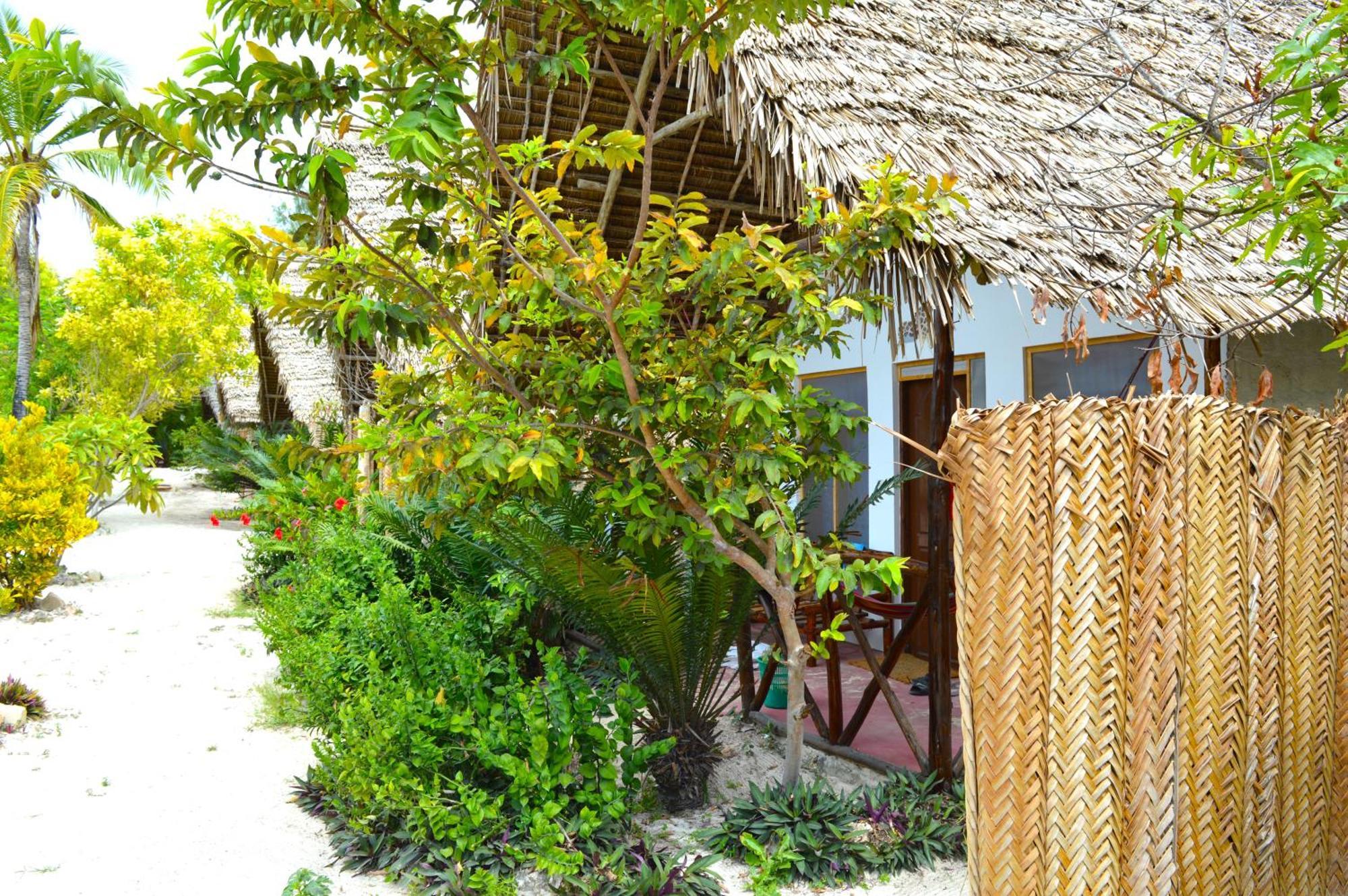 New Jambo Bungalows 파제 외부 사진